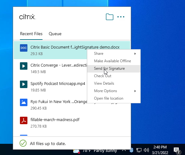 Citrix Files pro Windows