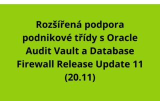 Rozšířená podpora podnikové třídy s Oracle Audit Vault a Database Firewall Release Update 11 (20.11)