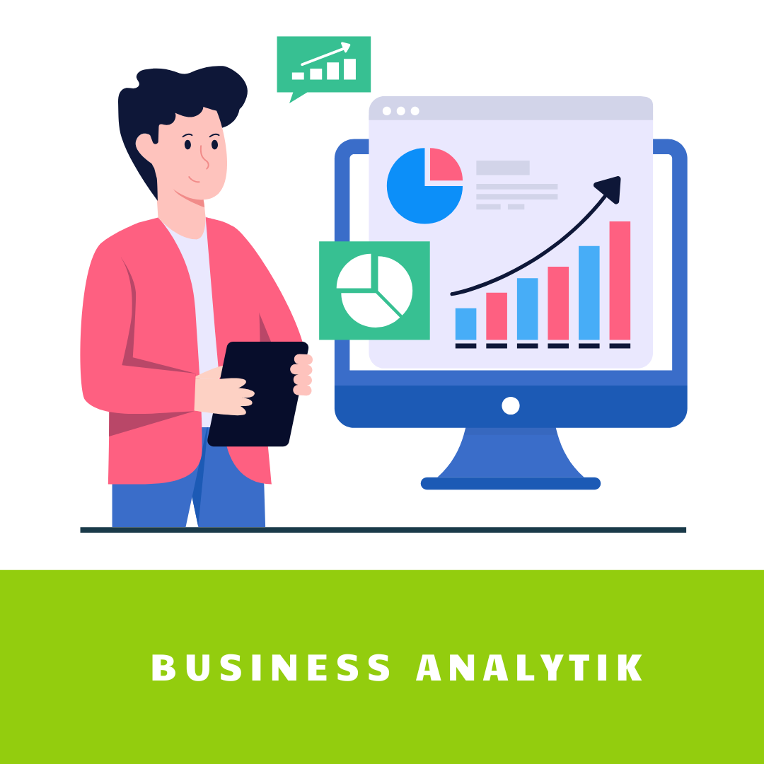 Business analytik
