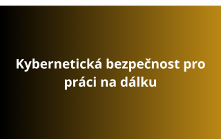 Kybernetická bezpečnost pro práci na dálku