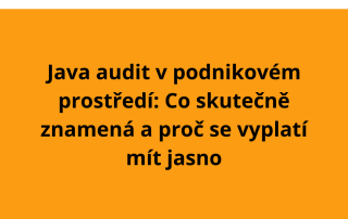 Java audit v podnikovém prostředí: Co skutečně znamená a proč se vyplatí mít jasno