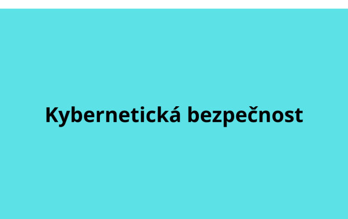 Kybernetická bezpečnost