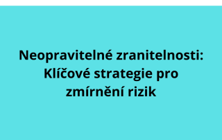 Neopravitelné zranitelnosti: Klíčové strategie pro zmírnění rizik