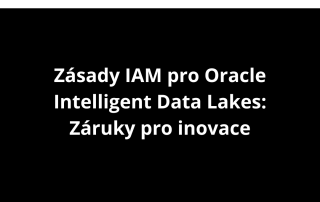 Zásady IAM pro Oracle Intelligent Data Lakes: Záruky pro inovace